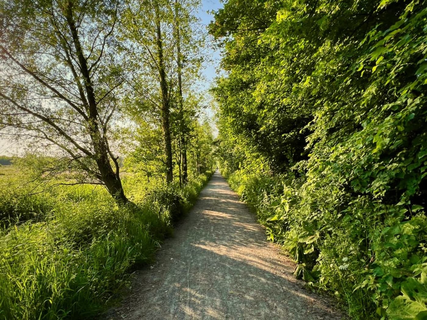 Meaningful Walks Vinderhoutse Bossen (Juli)