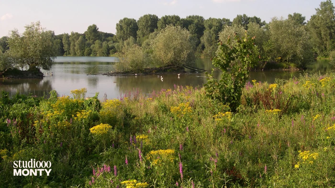 Meaningful Walks Damvallei Destelbergen