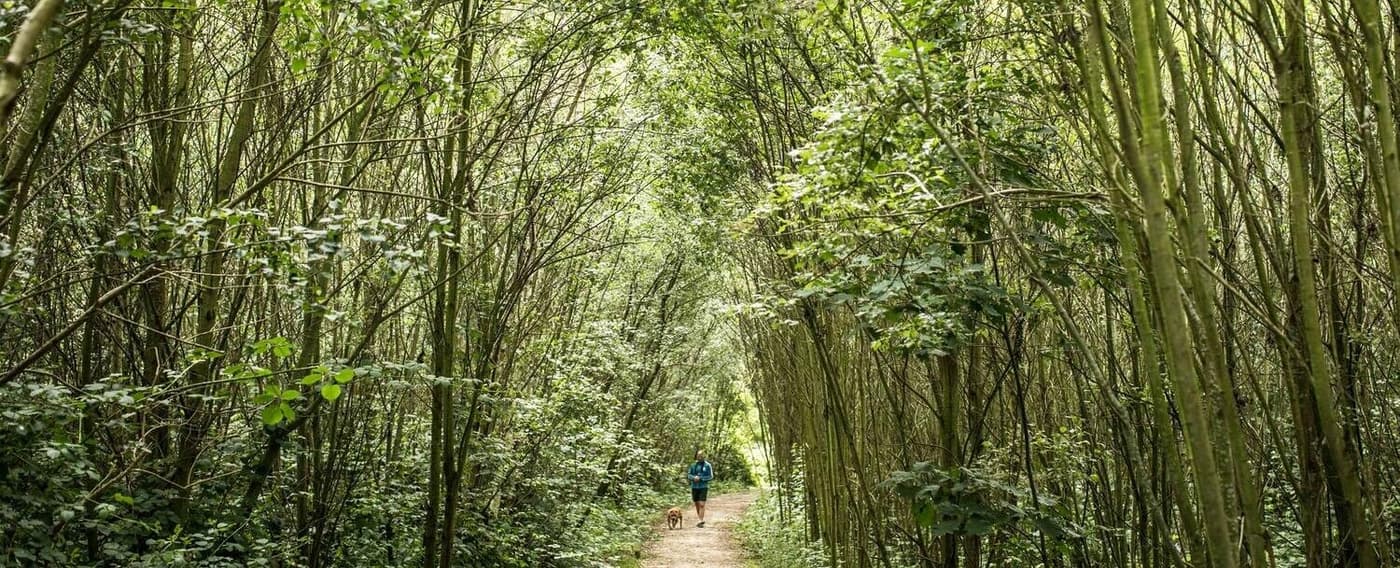 Meaningful Walks Weekend: Gentbrugse Meersen